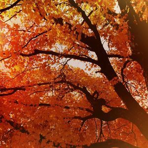 Meet your Posher, Suzanne